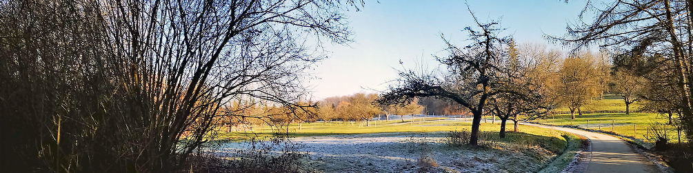Schwäbischer Albverein | Ortsgruppe Neckarhausen