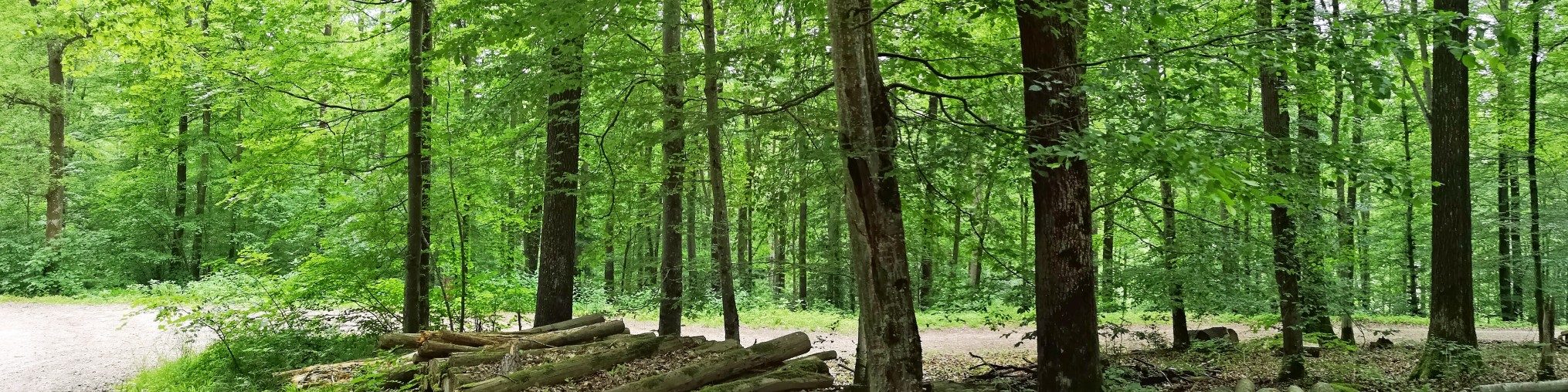 Schwäbischer Albverein | Ortsgruppe Neckarhausen