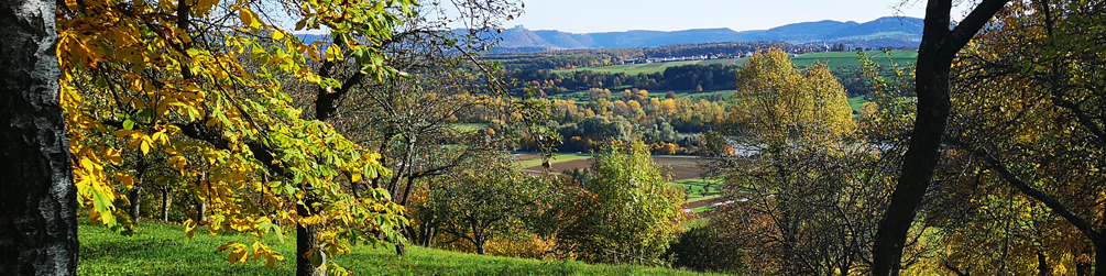 Schwäbischer Albverein | Ortsgruppe Neckarhausen
