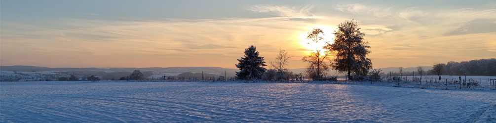 Schwäbischer Albverein | Ortsgruppe Neckarhausen